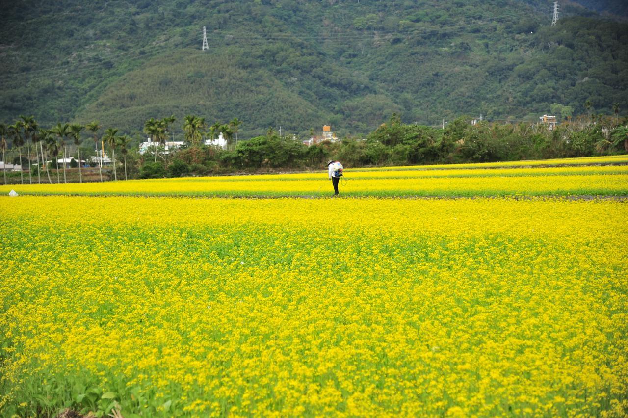 Guanshan Fukuda Homestay Ngoại thất bức ảnh